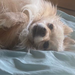 Meet your Posher, Jason